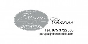 LogoBlanc_PANTONE 422 C